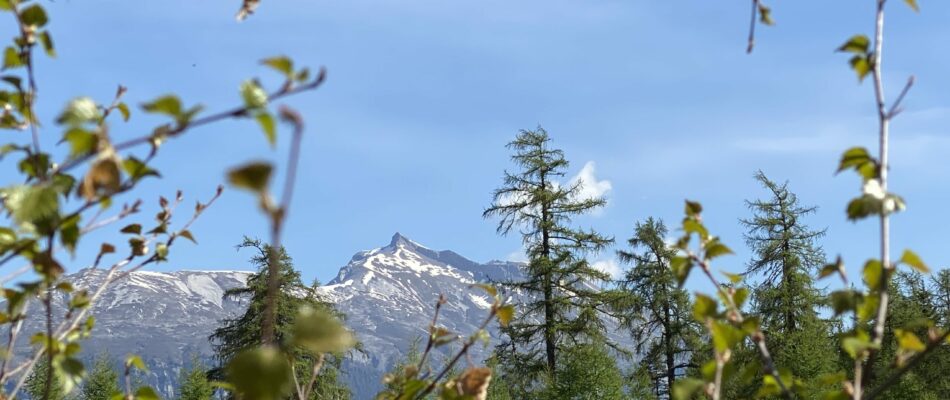 bergpanorama